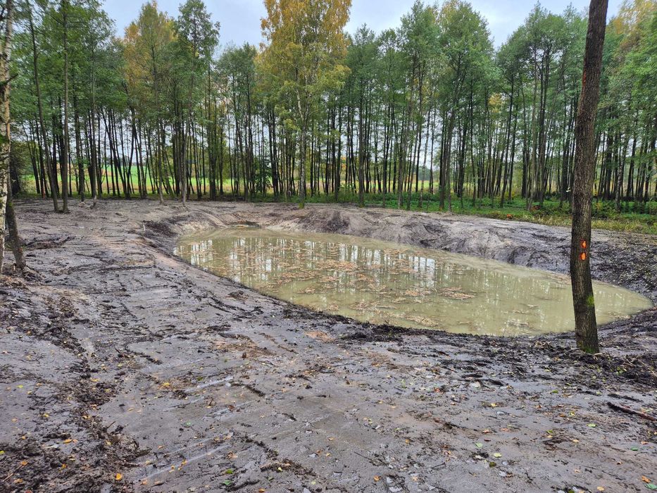 Koparka gąsienicowa Usługi Long długie ramię 21 metrów Kopanie stawów