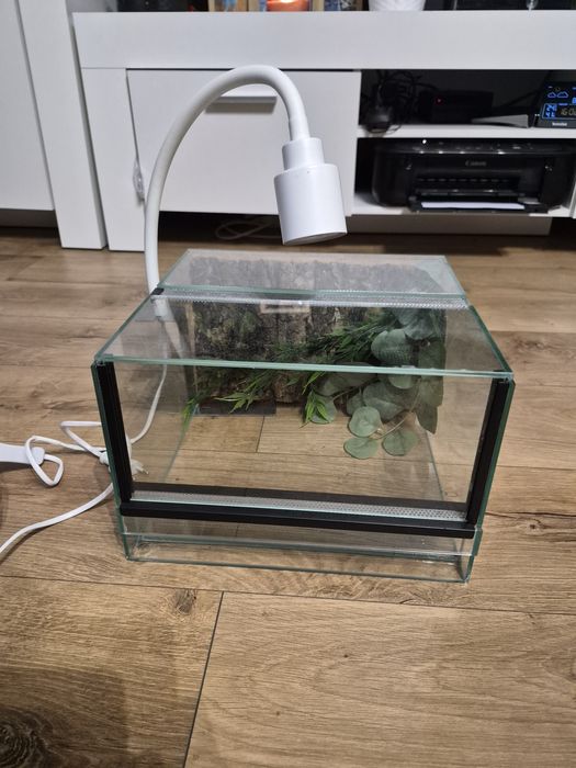Terrarium 30x30x20