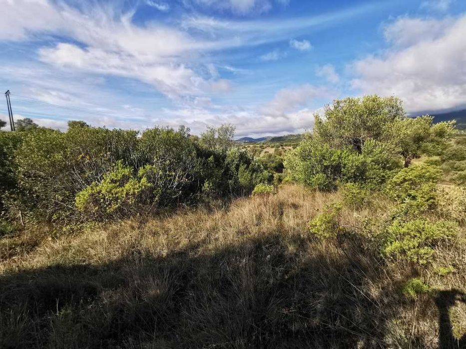 Terreno em Pedrogão 50 centimos o m2