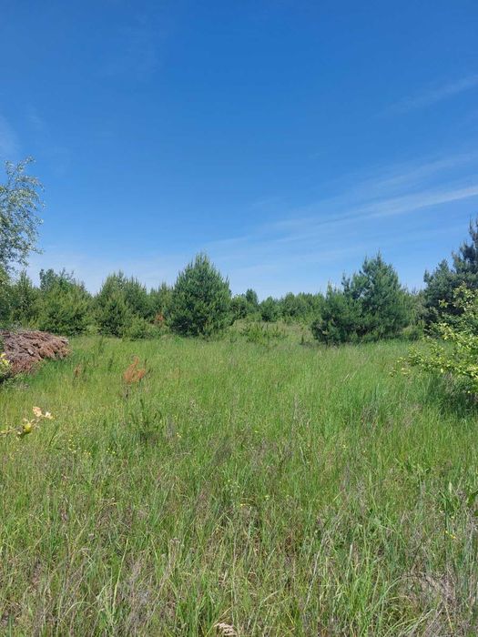 Участок 12,5 Га по Житомирской трассе с.Любимовка (рядом Бузовая)