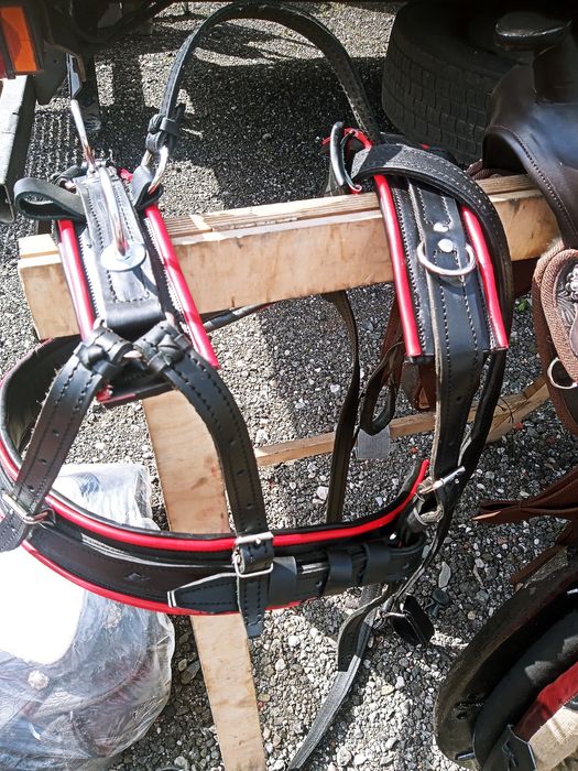 Szory puszory uprząż na kucyka