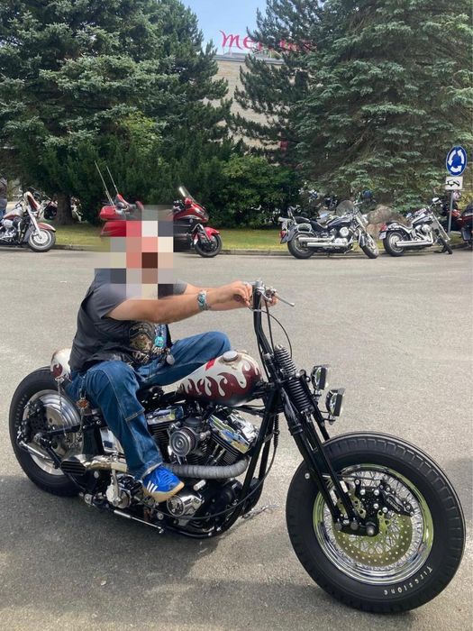 Harley bobber evo custom fat boy