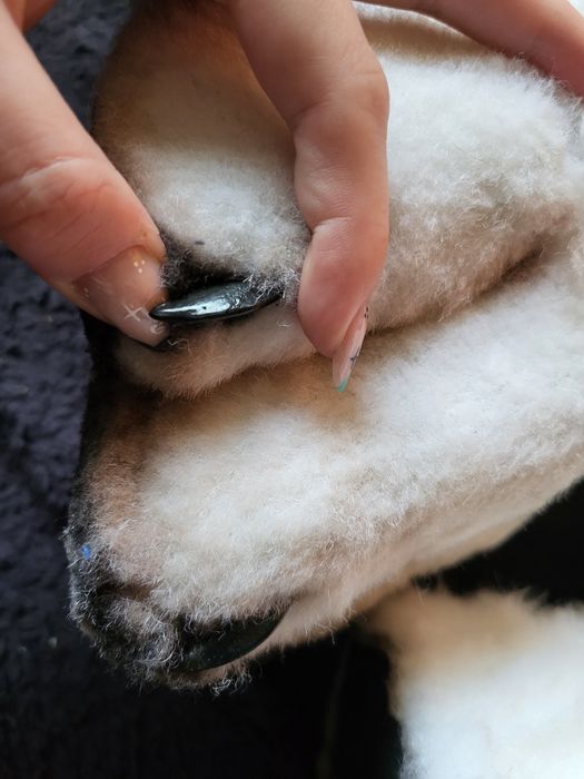 Furry buty łapy fursuit