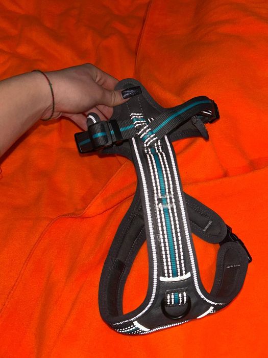 Шлейка для собаки