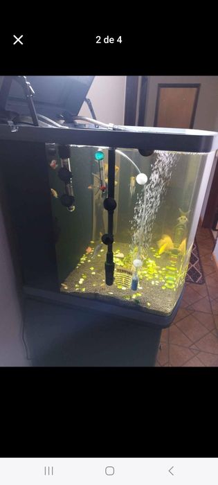 Vendo aquário como novo