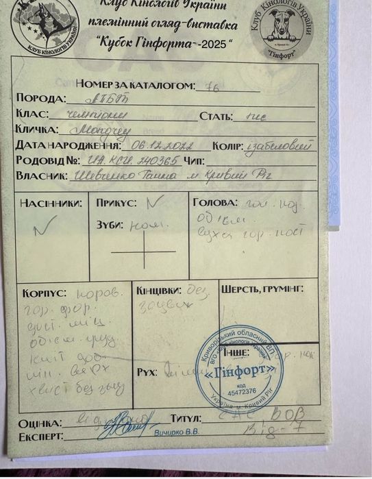 Вязка.Кривой рог.Питбуль.Есть ген.тесты.