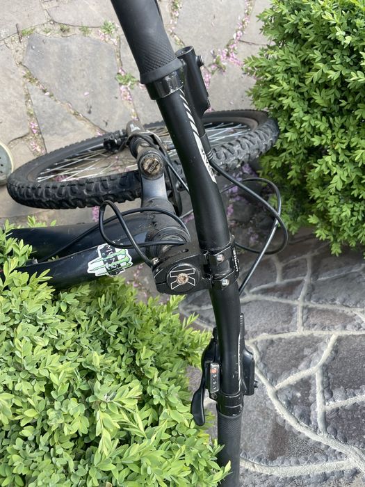 Formula Blackwood AM DD 26" 2022