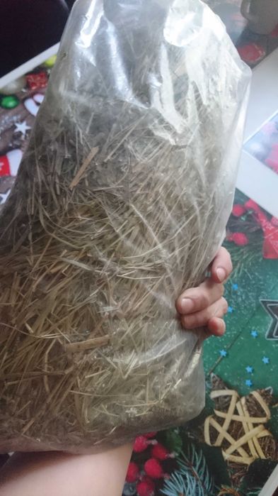 Продам сено луговое для декоративных кроликов