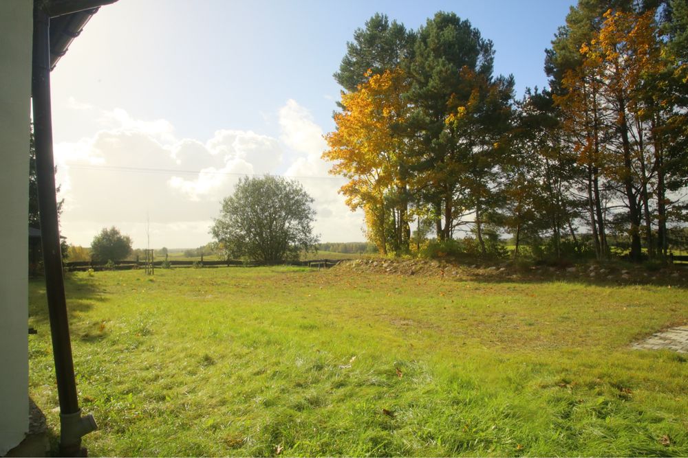 Leśne siedlisko 3000 m² warmia i mazury cisza i spokój i natura