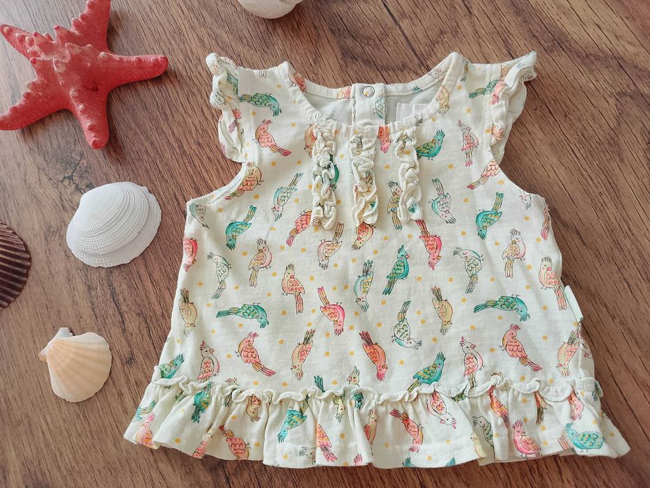 Koszulka letnia 56 62 papugi Pumpkin Patch