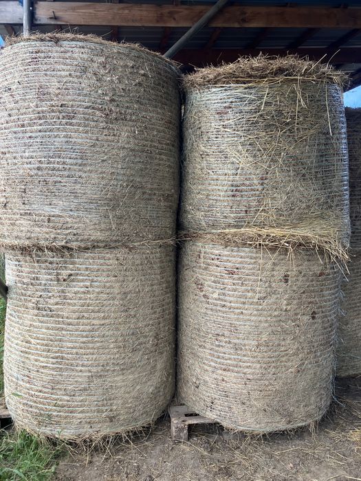 Siano pierwszy pokos 2025