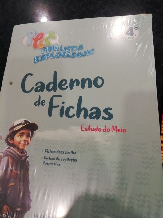 Livro de Fichas 4.ano