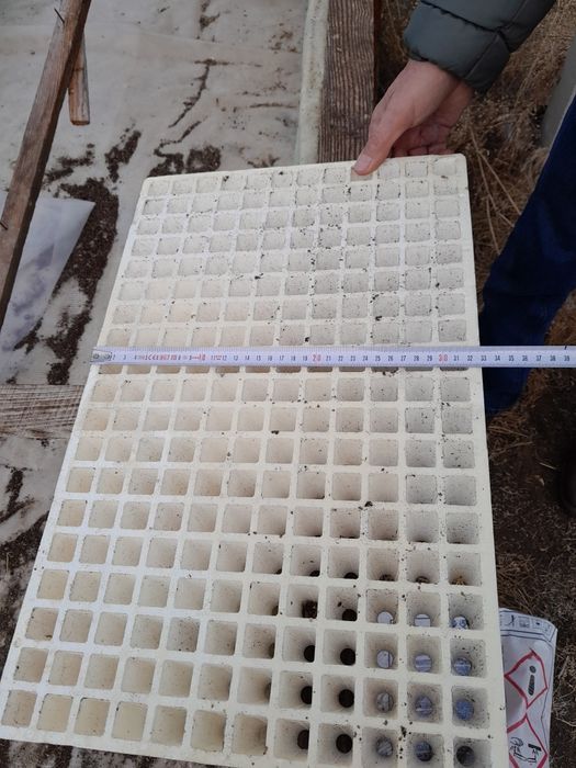 Sprzedam multiplaty 228