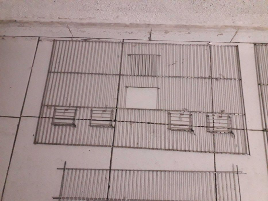 Frentes gaiolas agapornis novas