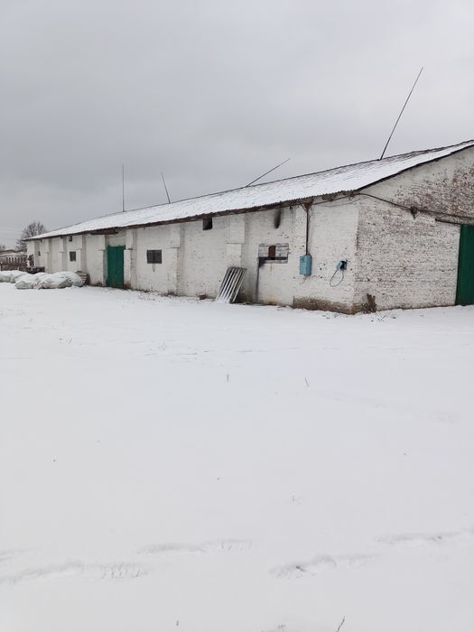 Зерносклади, комори з площадками для сушіння, с. Сушки