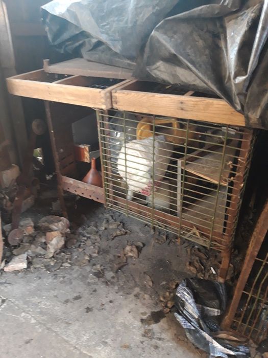 Клітка для кроликів металева.