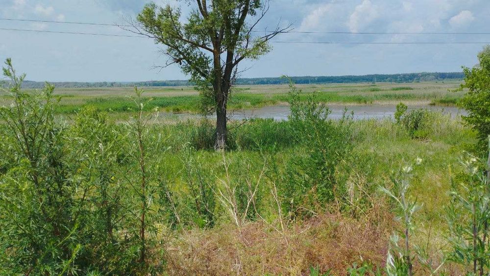 Продам дом с выходом в реку