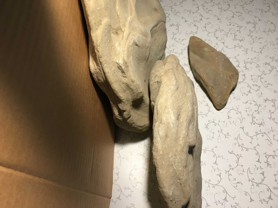 Для тераріума зоотовари