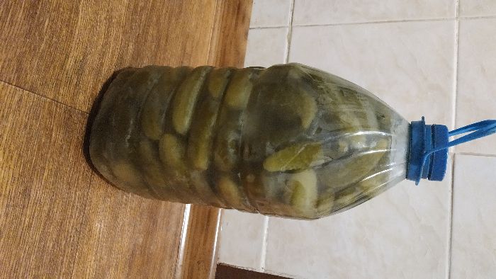 Огірки квашені солені огівки в бутлях врожай 2025 року.