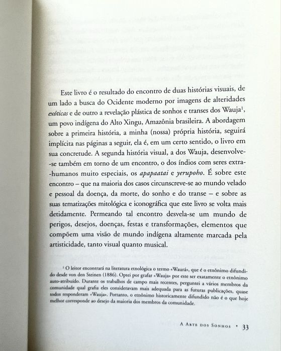 Aristóteles Barcelos Neto - A Arte dos Sonhos: Uma Iconografia Ameríndia