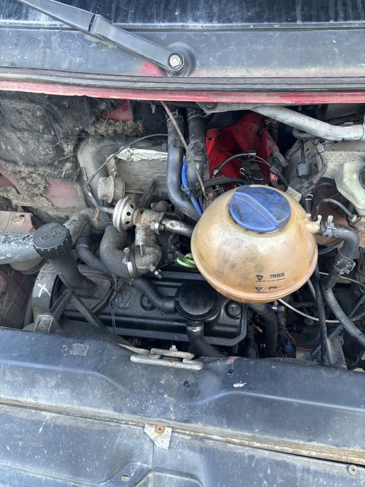 Продається дракон