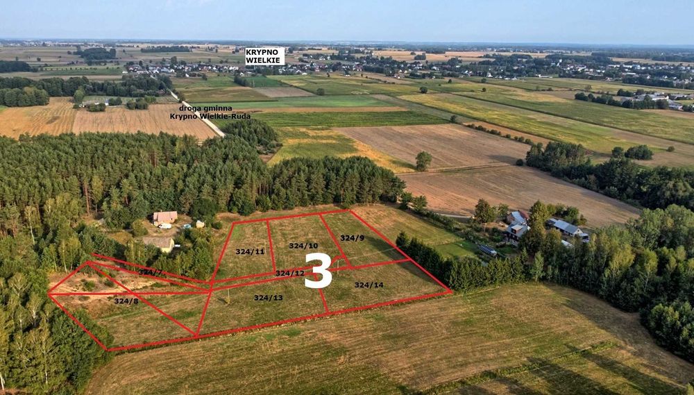 Wydzierżawię grunty rolne (1ha) – Krypno Wielkie