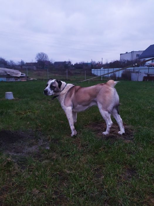 Кабель для в'язкі