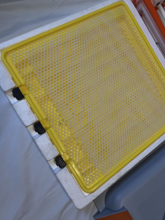 Продам інкубатор автоматичний HHD E92