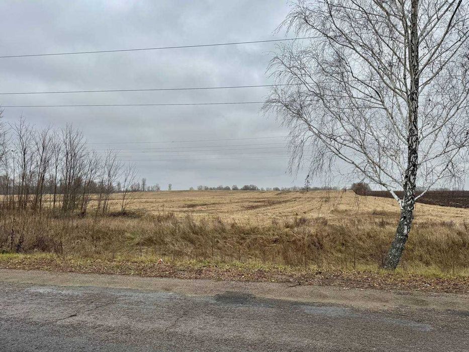 Земельний родючий масив у с. Воронькові ! По привабливій ціні!