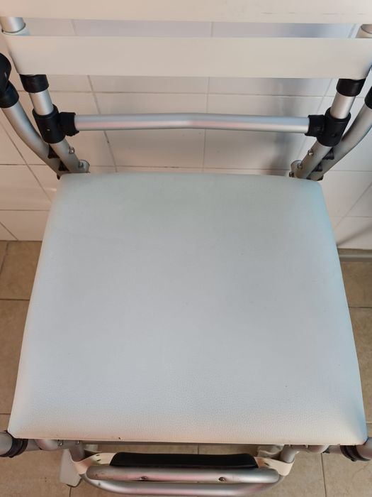 Cadeira Sanitária com rodas