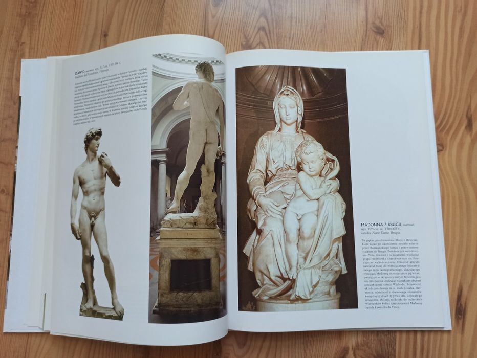 Wielka kolekcja  malarzy: Leonardo da Vinci  i Micha