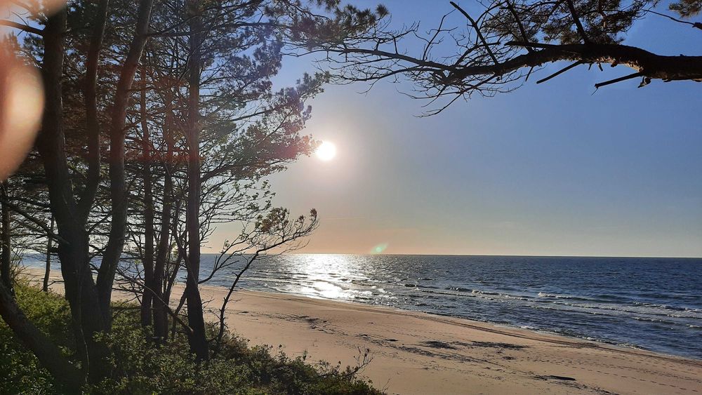 Wielkanoc,Elegancki Apartament