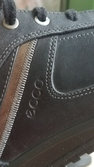 Кросівки шкіряні  Ecco 42