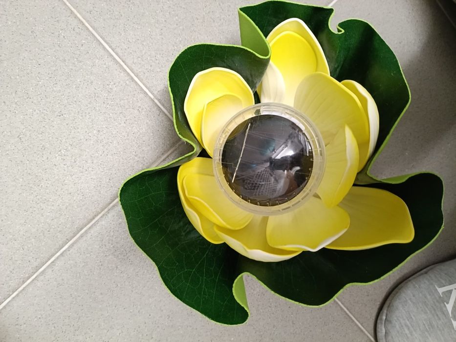 Nenúfar solar para lago