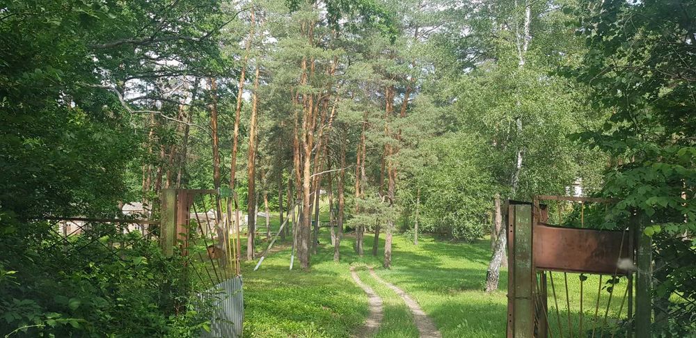 Продам будинок + парк 2 Га в Старому Мерчику | варіант для себе та бізнесу
