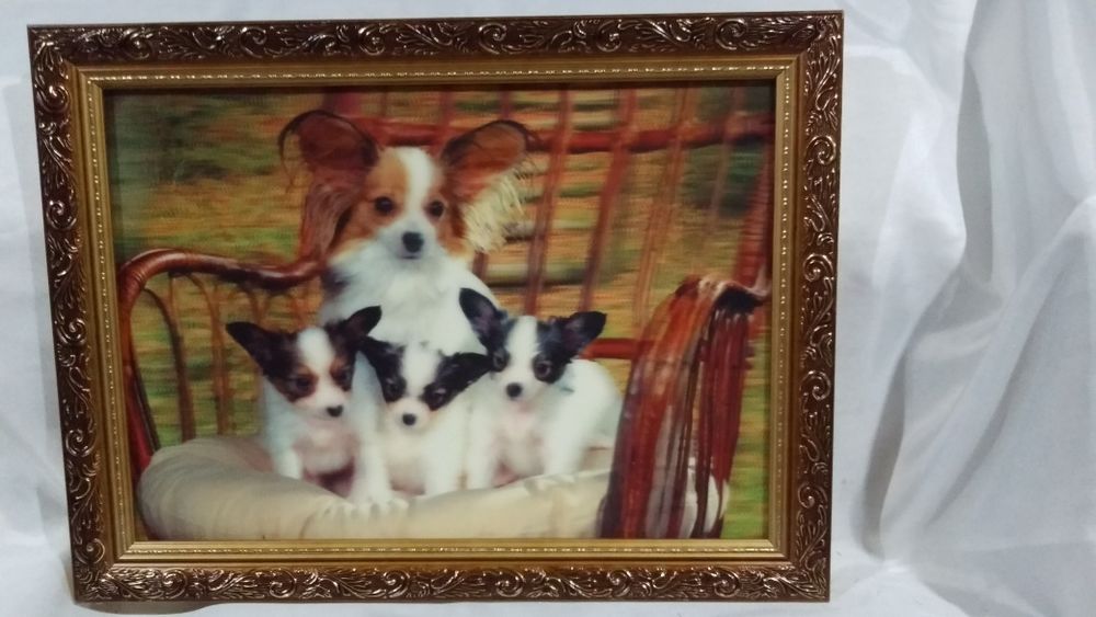 Стерео картина 25 х 35 см.