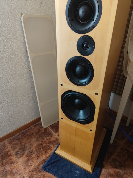 ProAc D100 - Modelo raro em Portugal