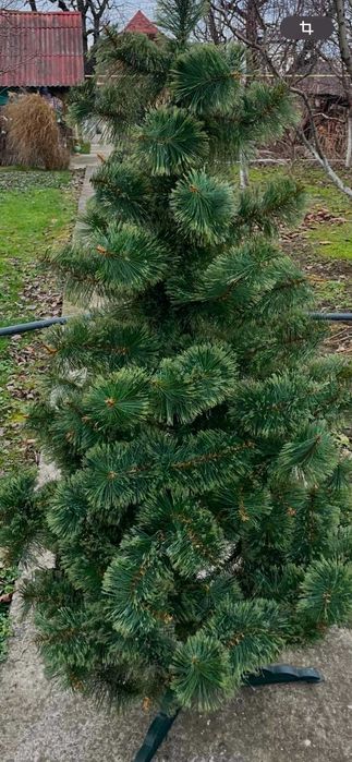 Ялинка штучна сосна
