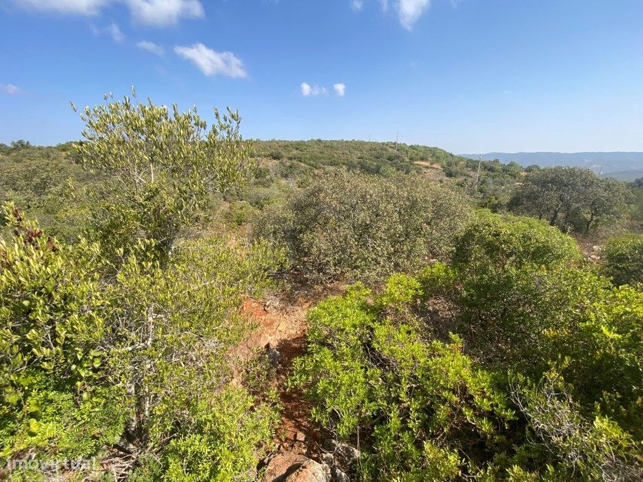 Lote de Terreno Rústico no Serro dos Passarinhos, Loulé, Algarve