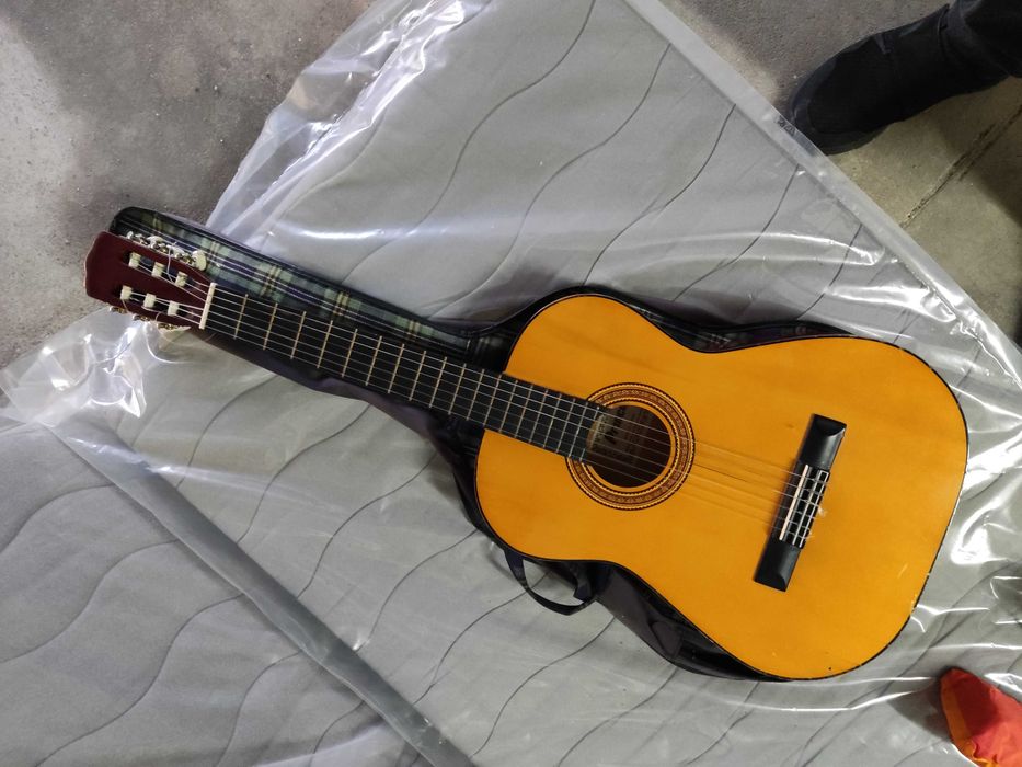 Viola castanha com capa