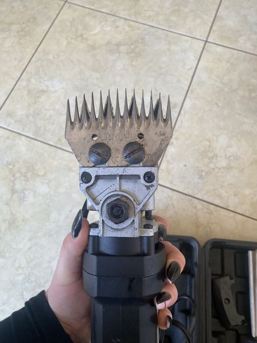 maszynka do strzyzenia owiec