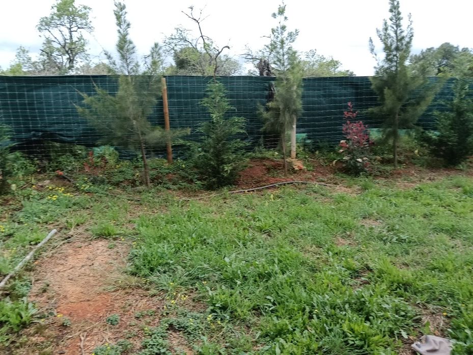 Quinta  com muita capacidade