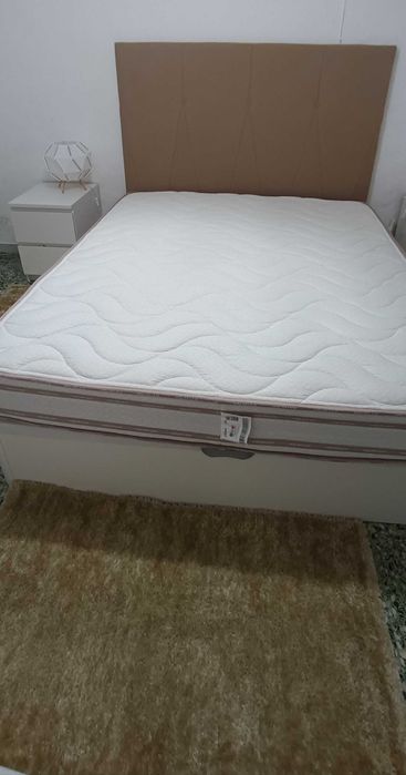 Colchão Molaflex coluna 2020