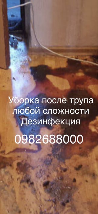Вывоз хлама ,уборка после трупа ,дезинфекция помещения
