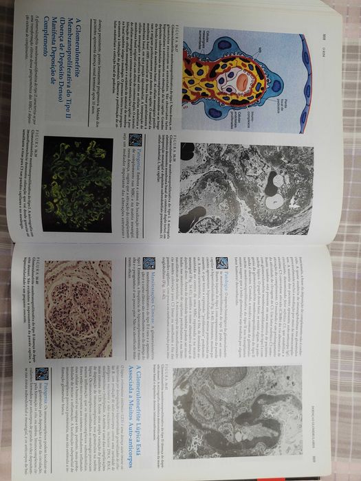 Medicina - Rubin, Livro de Patologia Clínica