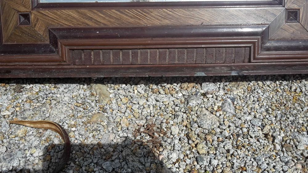 Lustro eklektyczne stare antyk