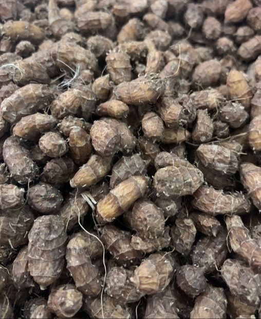 Земляной мигдаль /чуфа/ . Мигдальнє молоко. Халва. Оршад