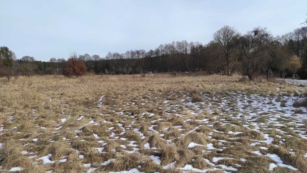 Działki z WZ nad jeziorem w otulinie Drawieńskiego Parku Narodowego