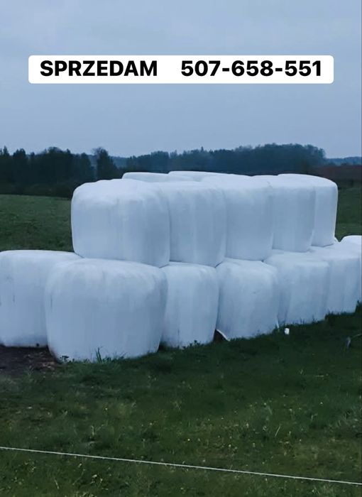 Sprzedam bele sianokiszonki