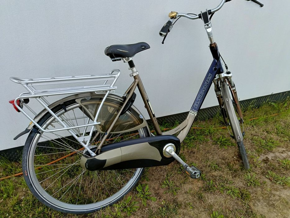 Rower batavus 28